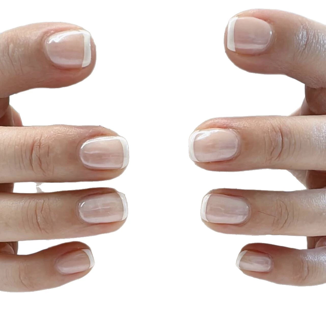 White French Press-On Nails